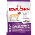 Royal Canin GIANT Junior Active